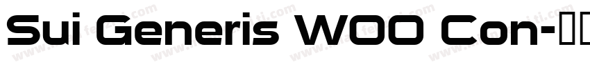 Sui Generis W00 Con字体转换